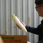 経験者