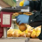 転職